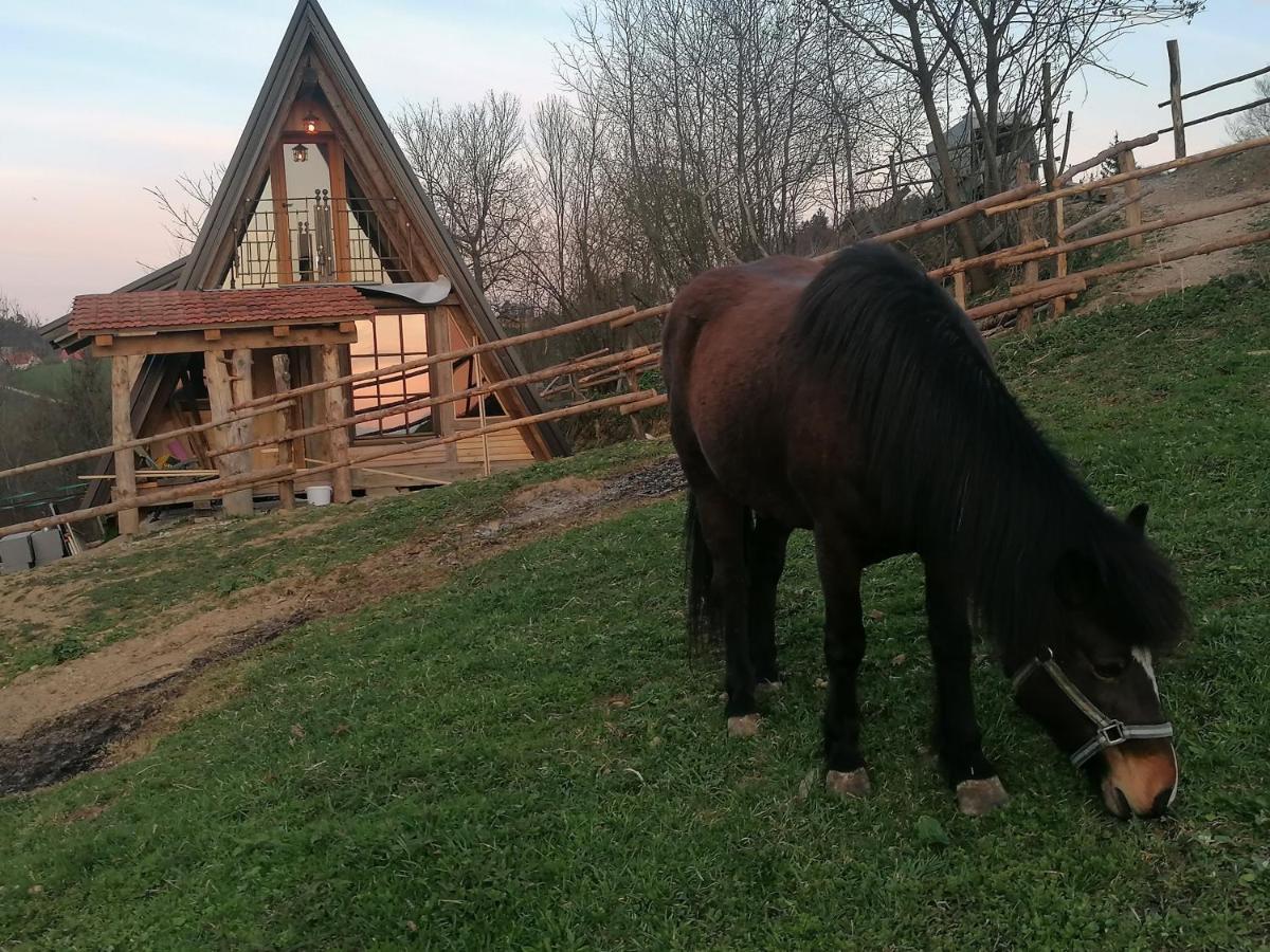 Ranch At Geta ξενώνας Razgorce Εξωτερικό φωτογραφία