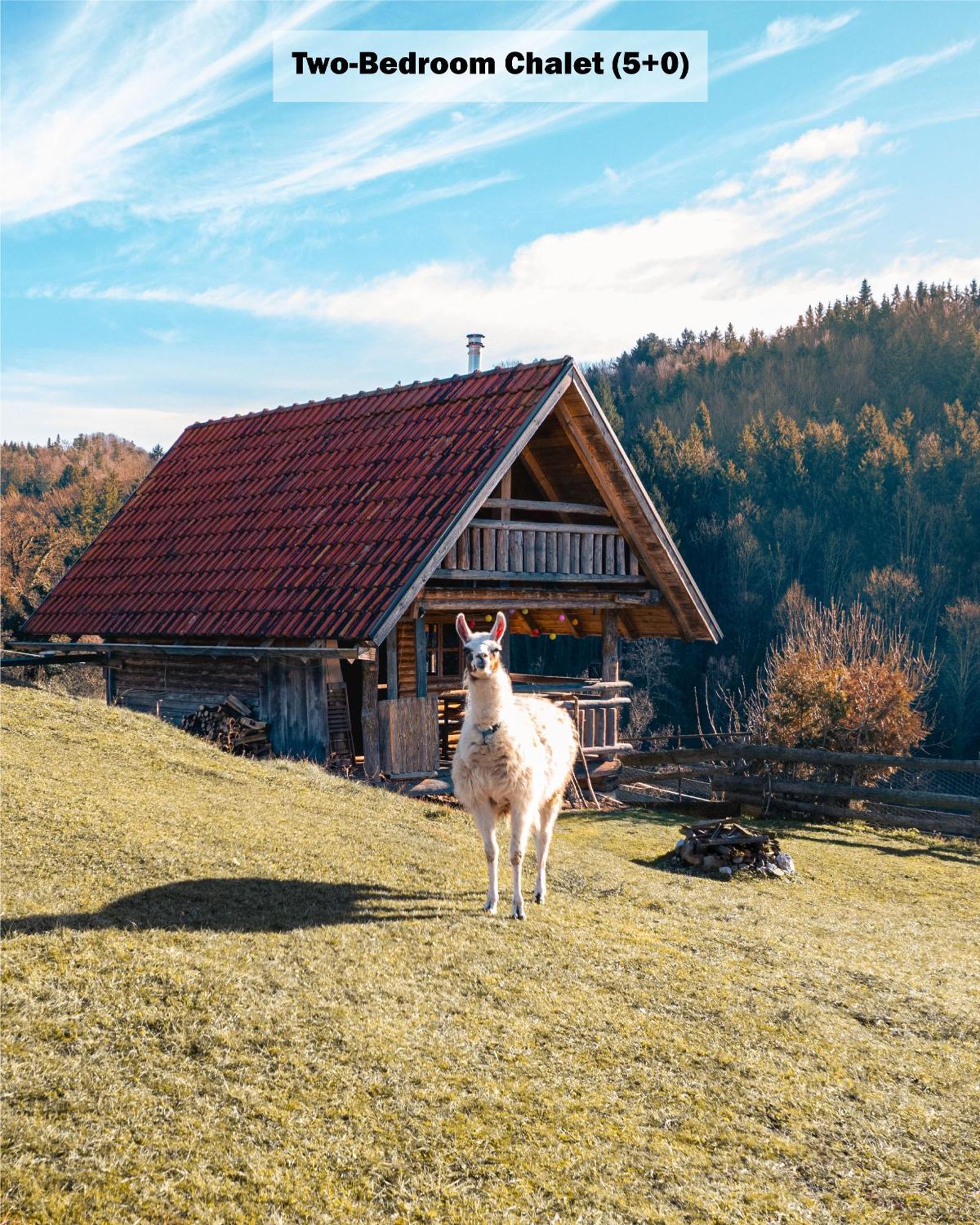Ranch At Geta ξενώνας Razgorce Δωμάτιο φωτογραφία